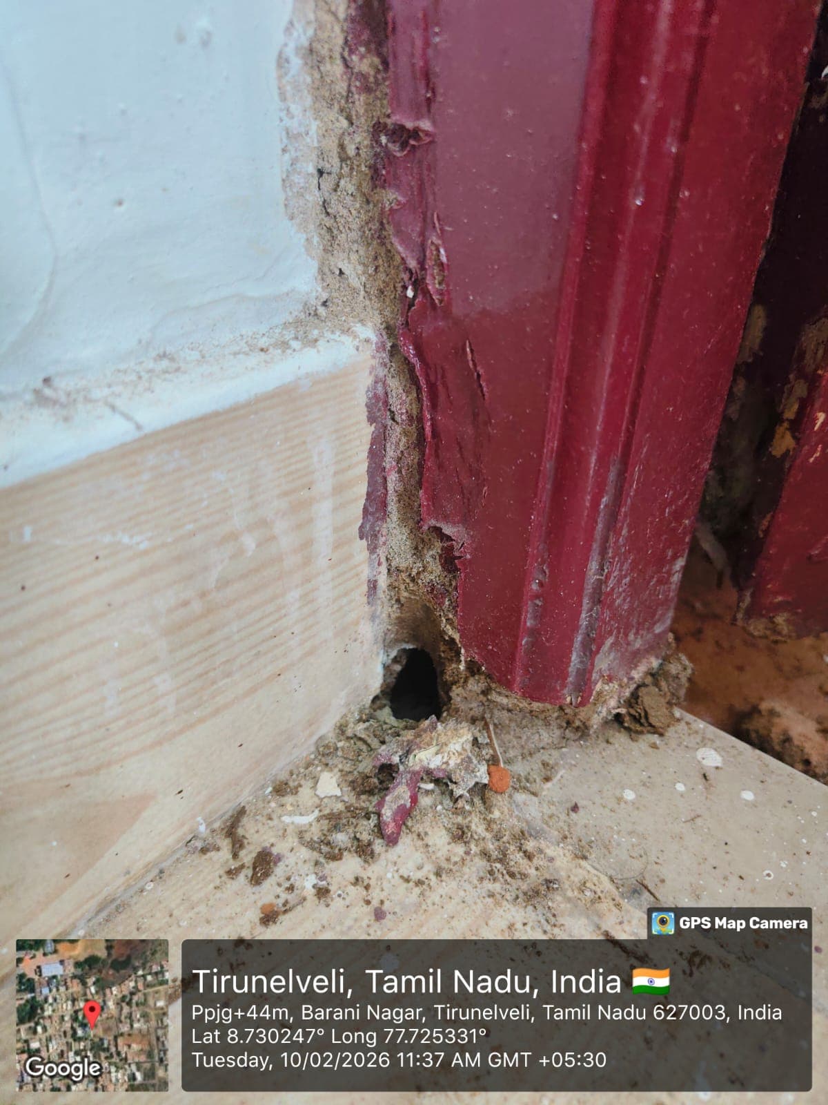 termites effect on house outside