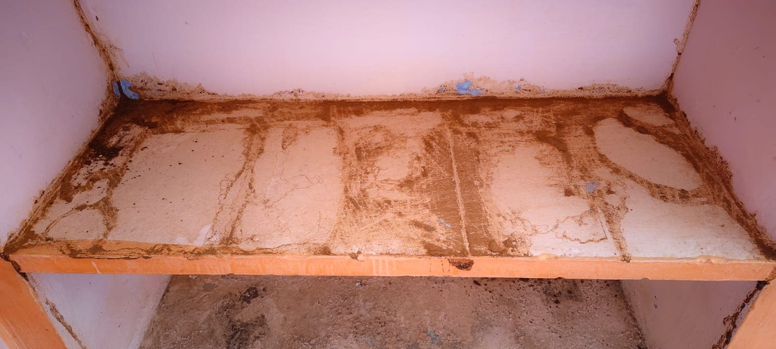 termites effect on house
